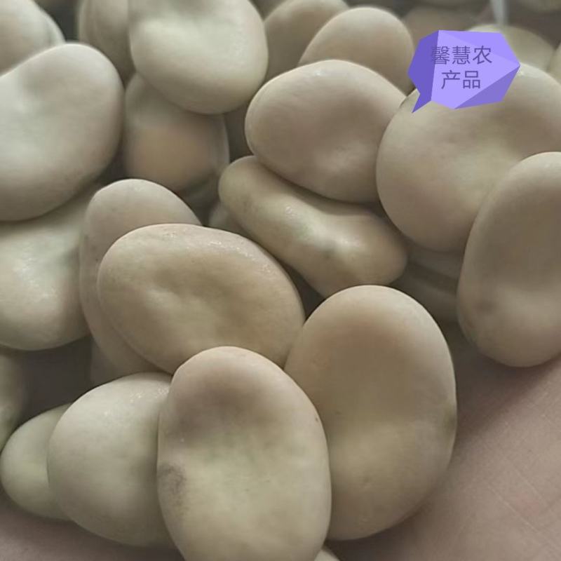 楚雄干蚕豆，850粒左右大小，大量供，可供厂家，价格随行