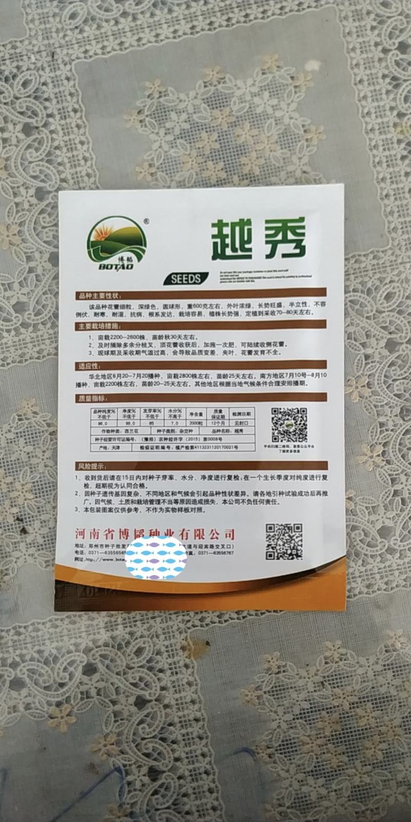 越秀耐寒西兰花抗病小米粒重600克亩栽2800低温不变紫