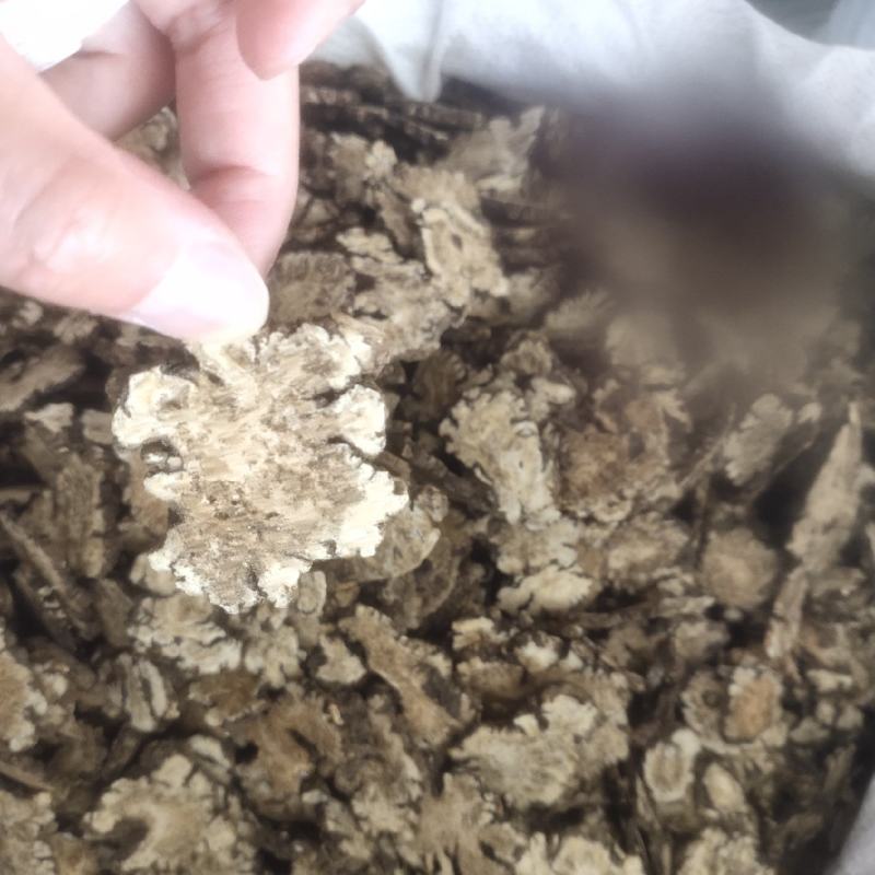 川芎生川芎产地手切川芎