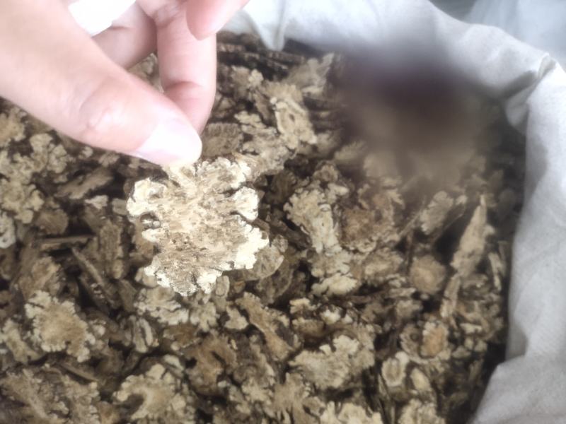 川芎生川芎产地手切川芎