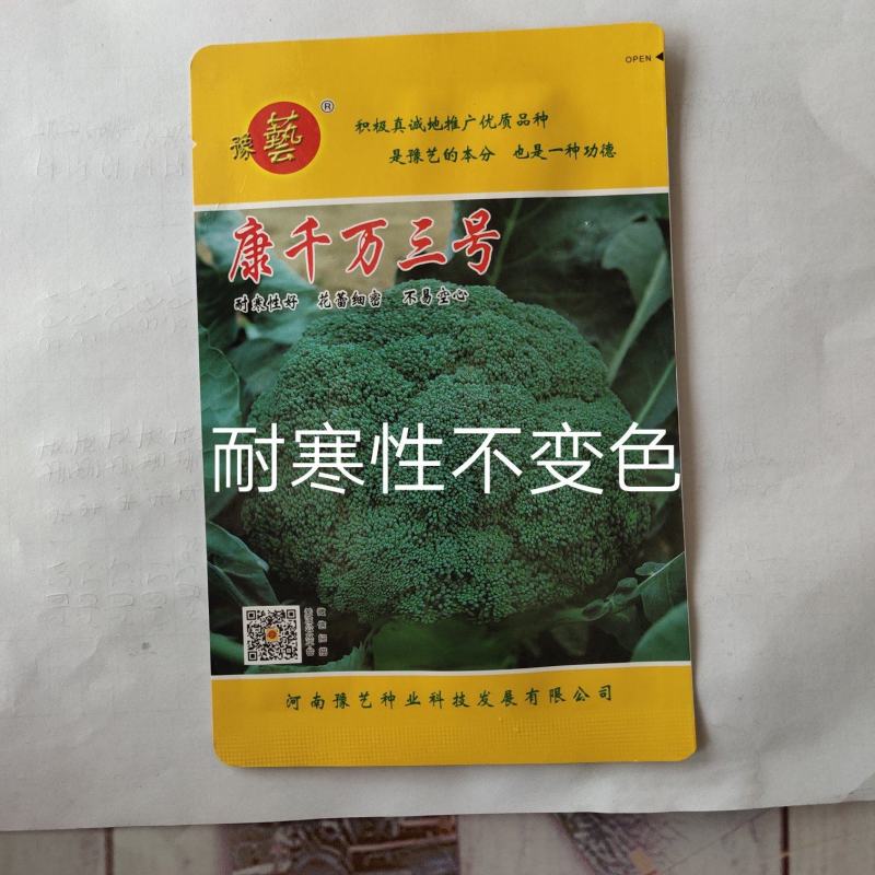 康千万三号西兰花种子轴粗不空心小米粒细密深绿色75天采收