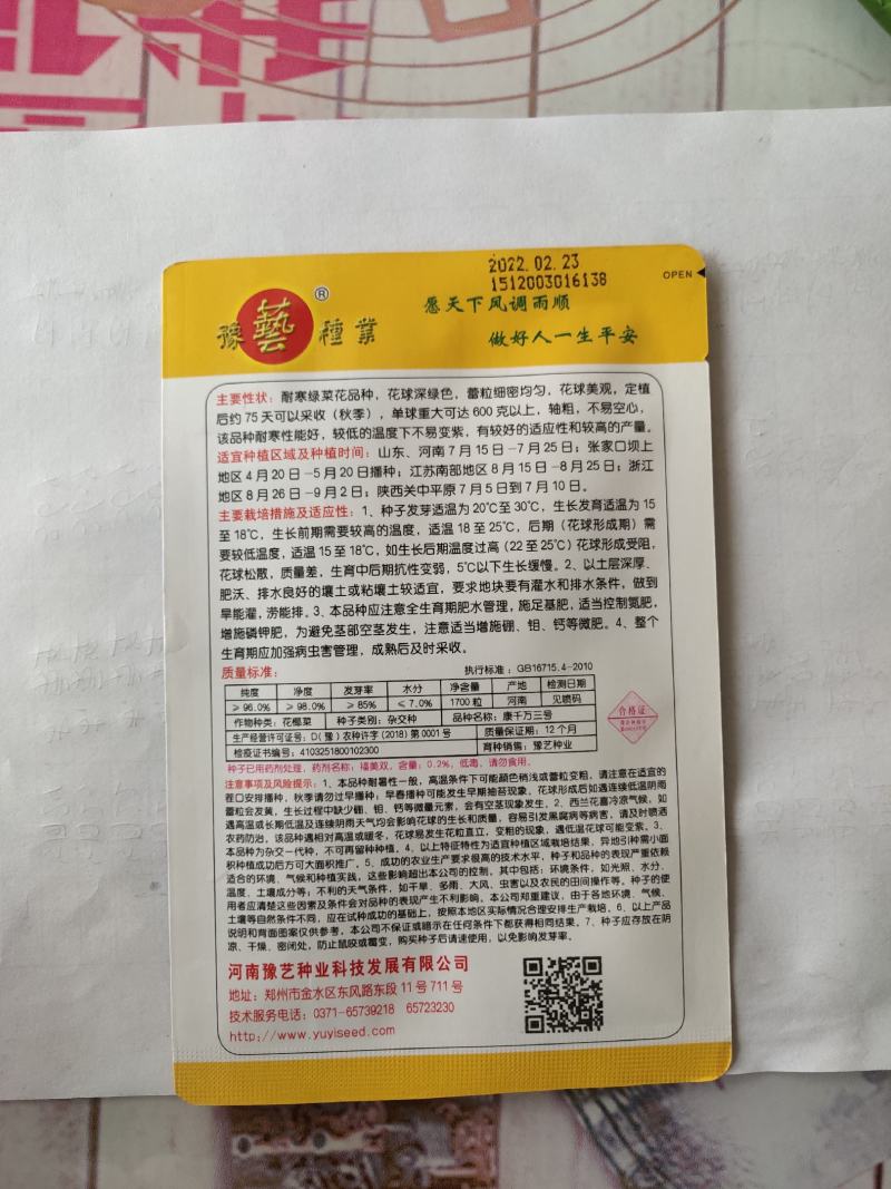 康千万三号西兰花种子轴粗不空心小米粒细密深绿色75天采收
