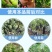 大量元素水溶肥20克袋装膨果增产生根壮苗果蔬营养平衡叶面