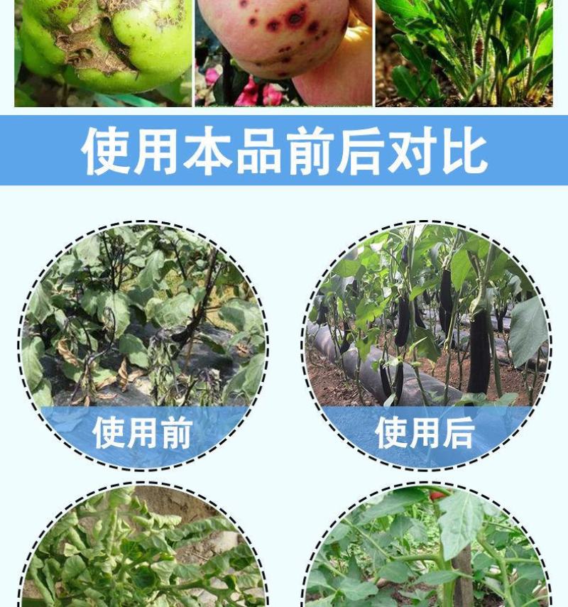 大量元素水溶肥20克袋装膨果增产生根壮苗果蔬营养平衡叶面