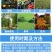 大量元素水溶肥20克袋装膨果增产生根壮苗果蔬营养平衡叶面