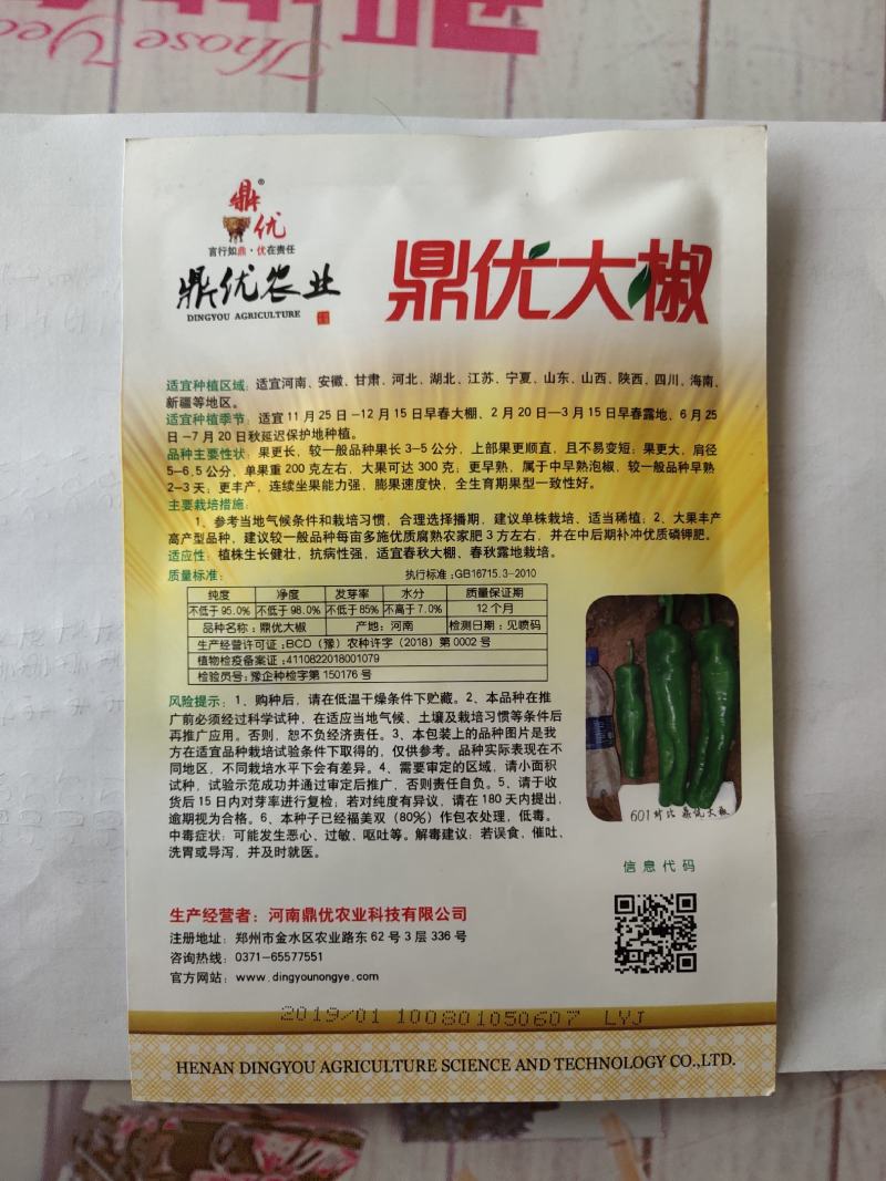 鼎优大椒辣椒种子中早熟泡椒抗病膨果速度快果型一致春秋棚露
