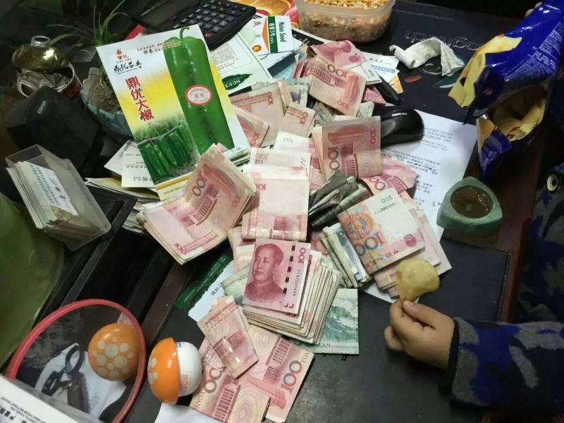 鼎优大椒辣椒种子中早熟泡椒抗病膨果速度快果型一致春秋棚露