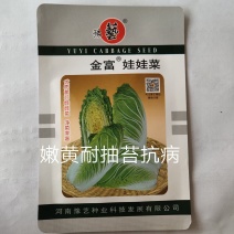 金富娃娃菜种子黄芯娃娃菜净菜高易管理产量高懒汉菜种