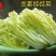 金富娃娃菜种子黄芯娃娃菜净菜高易管理产量高懒汉菜种