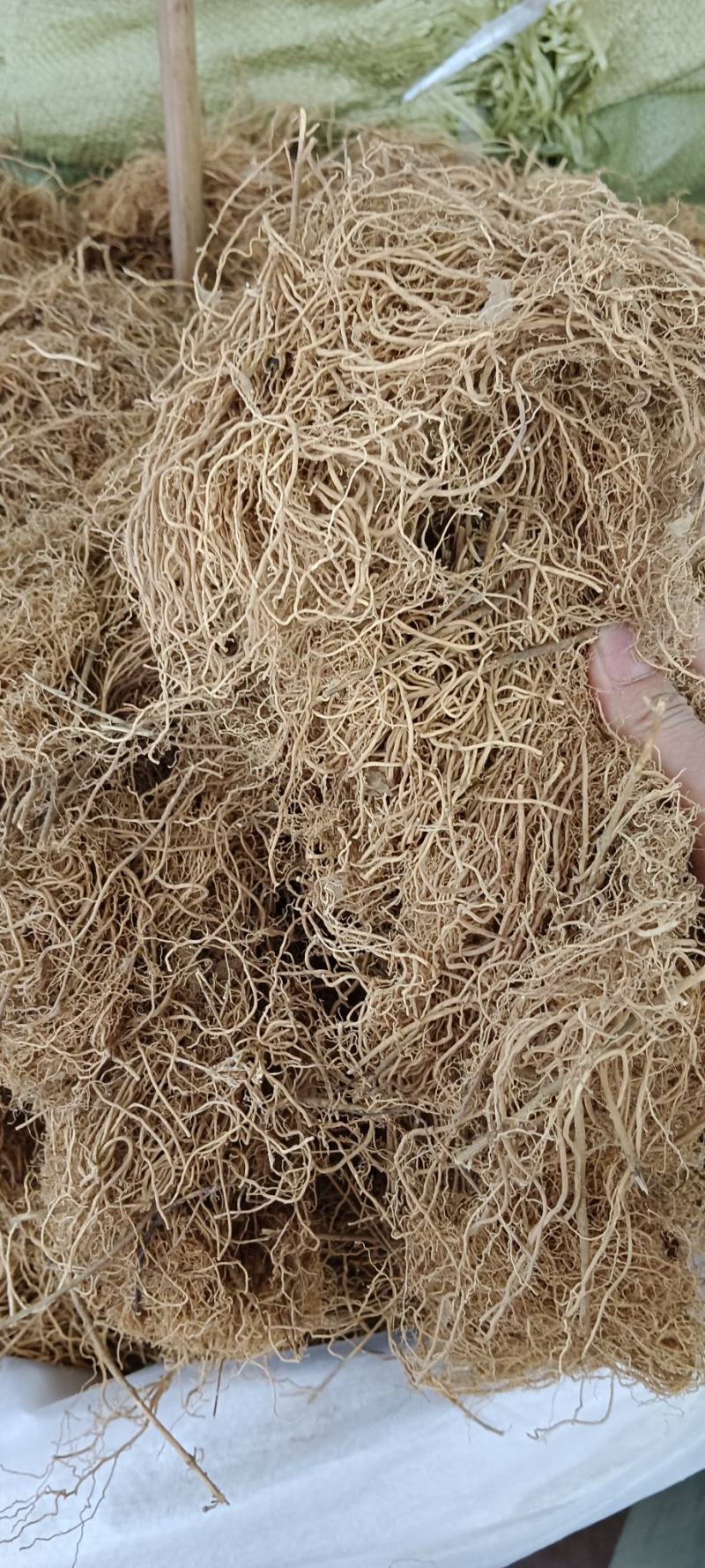 辽刁竹，中药材辽刁竹