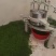 【精选】相思茶，鸡骨草茶，相思茶农家自产货源充足全国发货