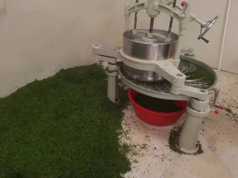 【精选】相思茶，鸡骨草茶，相思茶农家自产货源充足全国发货