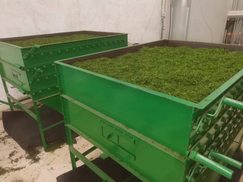 【精选】相思茶，鸡骨草茶，相思茶农家自产货源充足全国发货