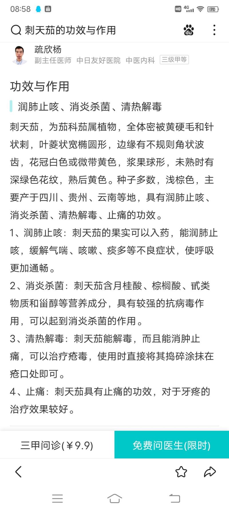 刺天茄正品高含量刺天茄叶子