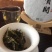 2019年春贺开，云南大叶种茶，头春头采，