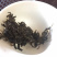 2019年春贺开，云南大叶种茶，头春头采，