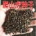 四季常青爬山虎种子室内爬藤植物种子庭院攀援花卉种子爬墙虎