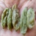 葡萄干麻正牌，酸甜可口，色丰无籽，色如翡翠，各大超市热卖