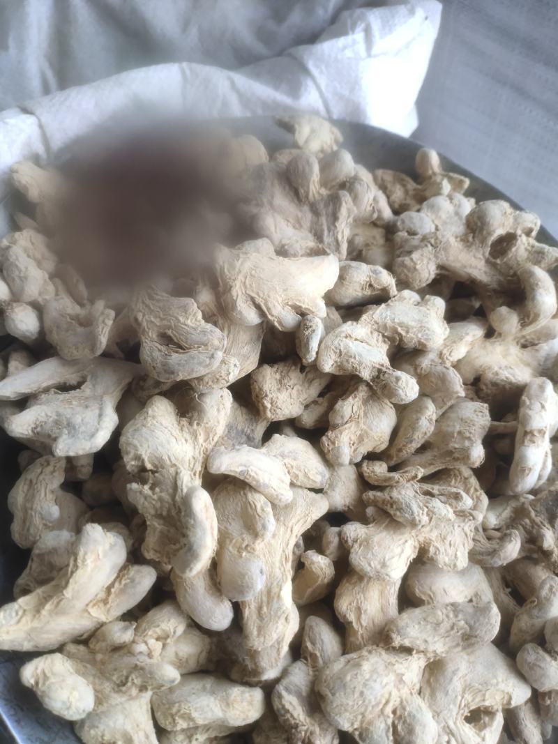 干姜个毛姜统装