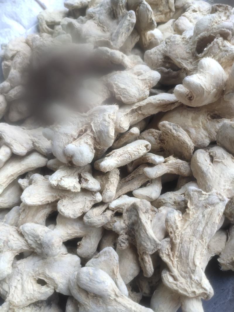 干姜个毛姜统装