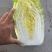 白菜大白菜精品货源产地一手货价格便宜欢迎采购