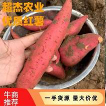 西瓜红蜜薯，基地直供量大从优电商生鲜商超美团以及各大市场