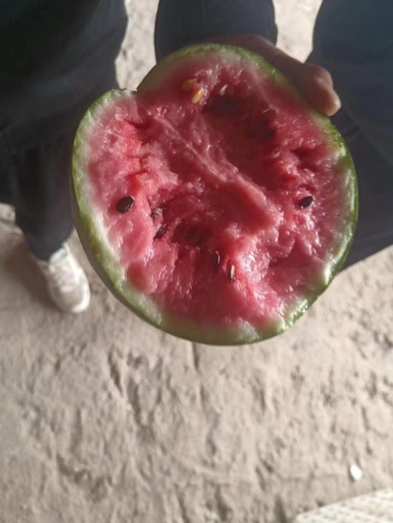 山东菏泽精品美都大量上市啦欢迎老板咨询选购，量大优惠