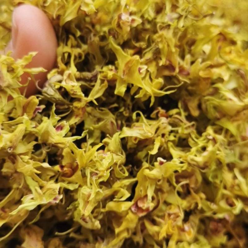 石斛花铁皮石斛花干石斛花鼓槌石斛花产地一手货源新货