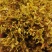 石斛花铁皮石斛花干石斛花鼓槌石斛花产地一手货源新货