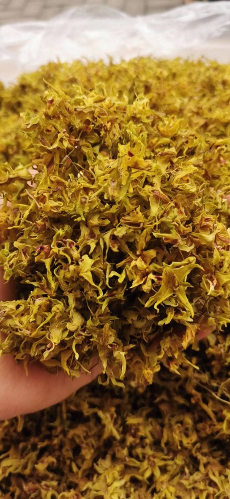 石斛花铁皮石斛花干石斛花鼓槌石斛花产地一手货源新货