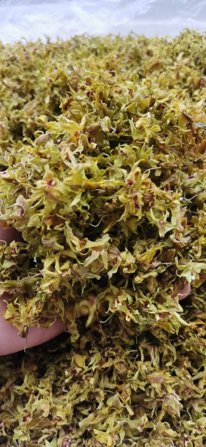石斛花铁皮石斛花干石斛花鼓槌石斛花产地一手货源新货