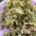 石斛花铁皮石斛花干石斛花鼓槌石斛花产地一手货源新货