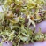 石斛花铁皮石斛花干石斛花鼓槌石斛花产地一手货源新货