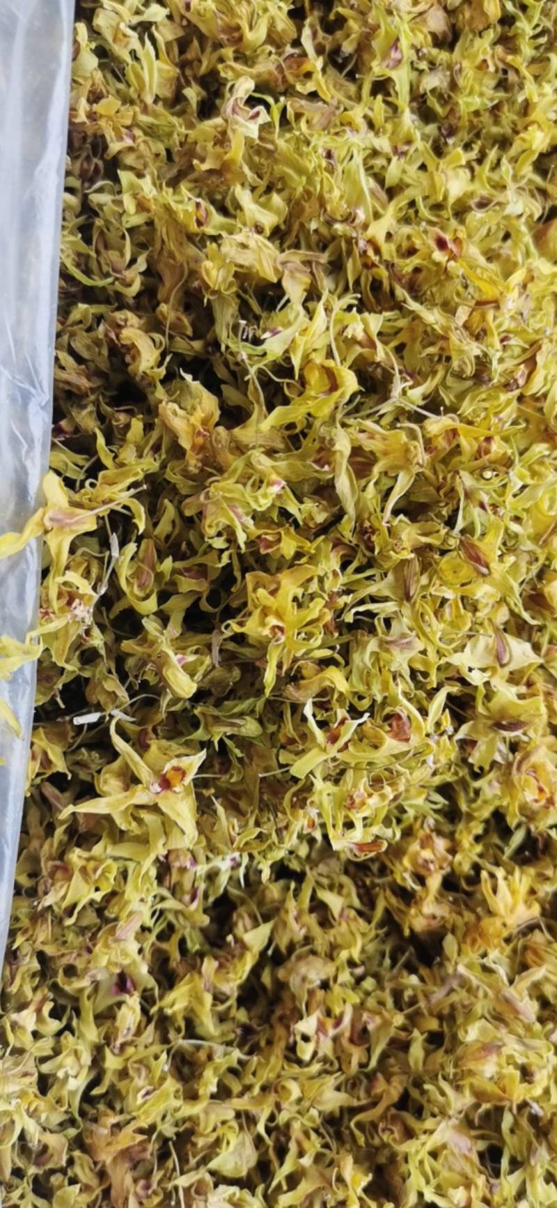 石斛花铁皮石斛花干石斛花鼓槌石斛花产地一手货源新货