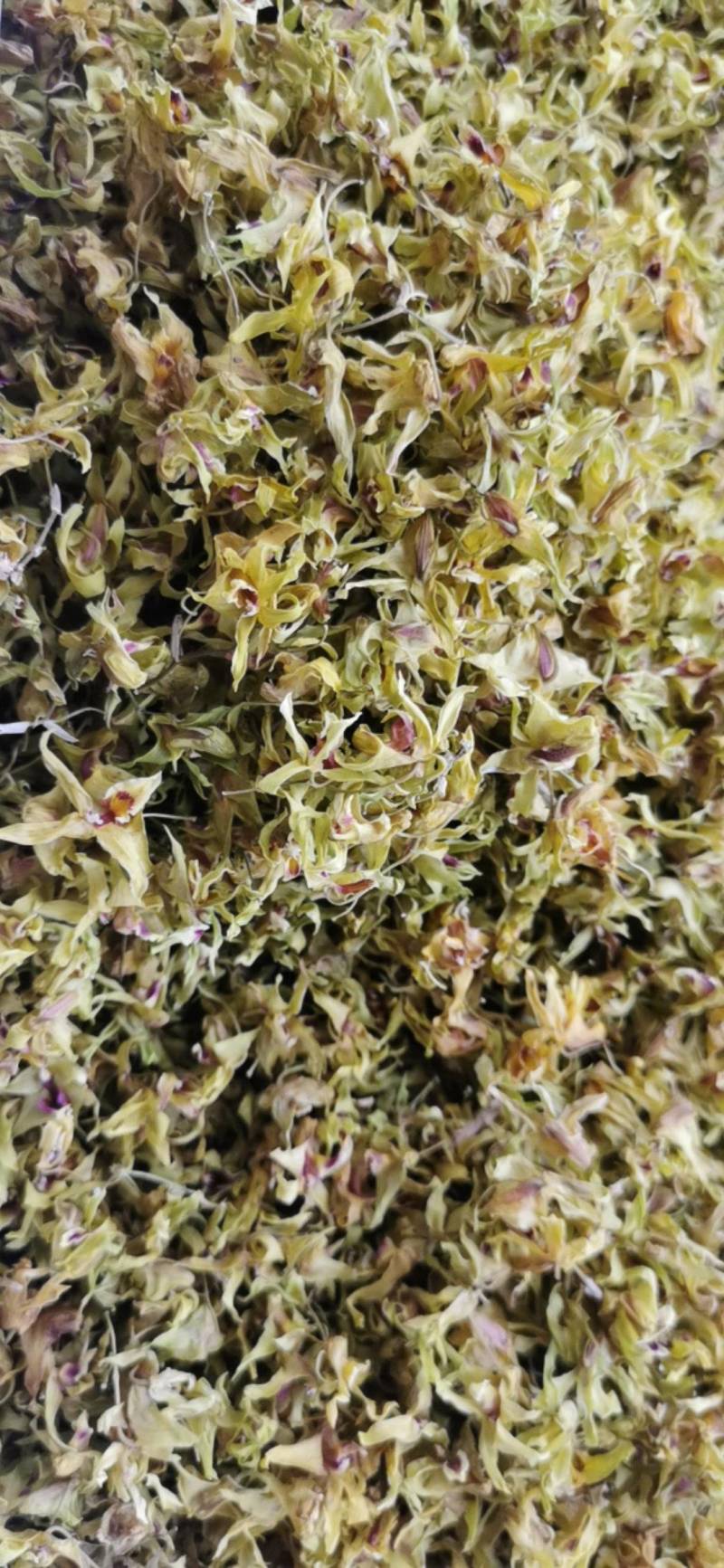 石斛花铁皮石斛花干石斛花鼓槌石斛花产地一手货源新货