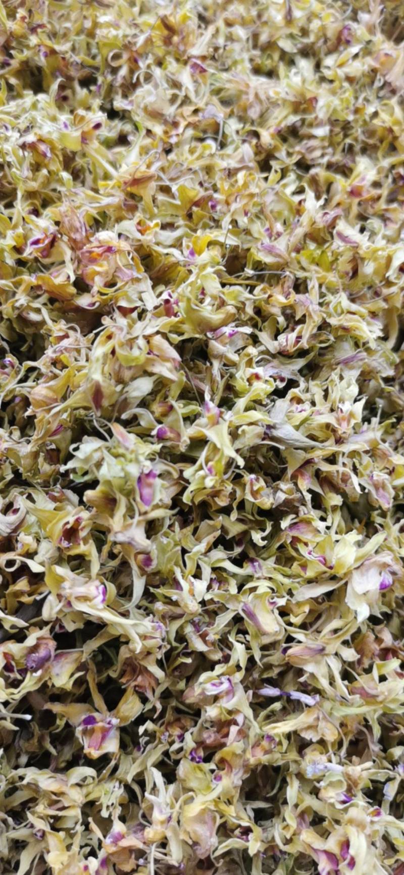 石斛花铁皮石斛花干石斛花鼓槌石斛花产地一手货源新货