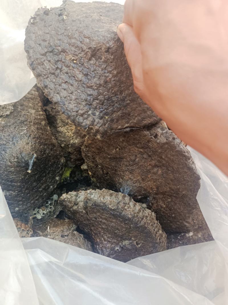 河南蜂房，软蜂房，大眼蜂房，无虫蛀，无任何添加，