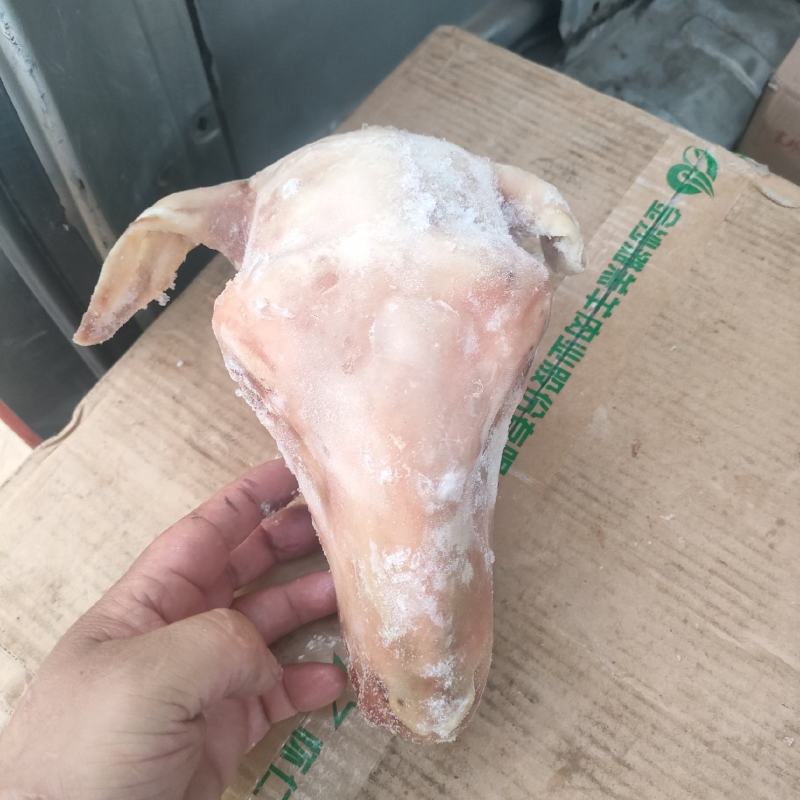 郑州莱聚商贸有限公司经营，羊副产品，羊头
