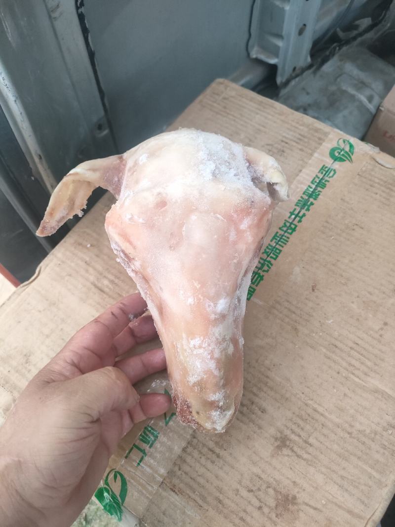 郑州莱聚商贸有限公司经营，羊副产品，羊头