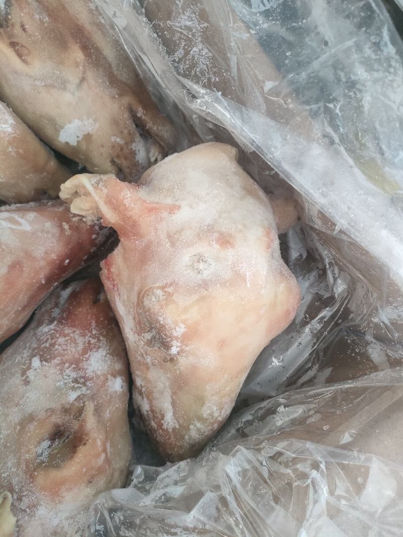 郑州莱聚商贸有限公司经营，羊副产品，羊头
