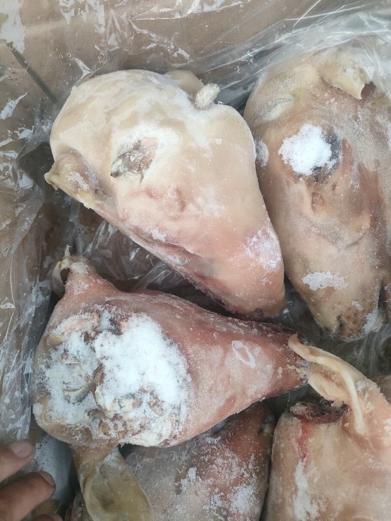 郑州莱聚商贸有限公司经营，羊副产品，羊头