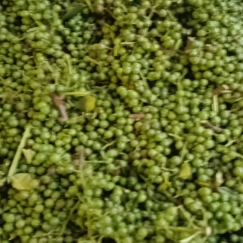 鲜花椒