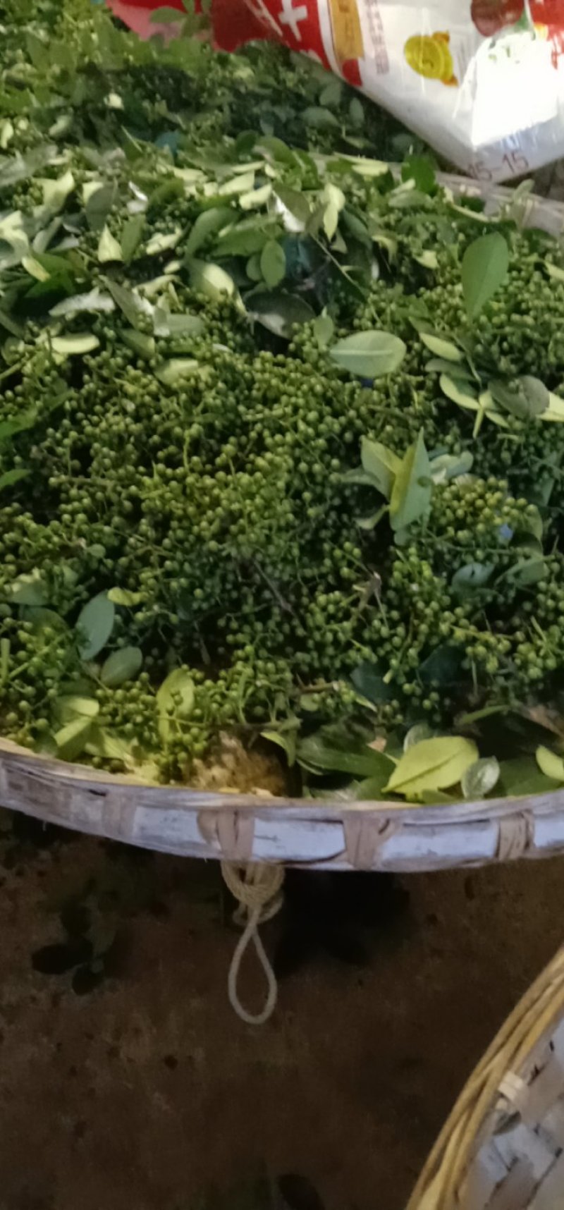 鲜花椒