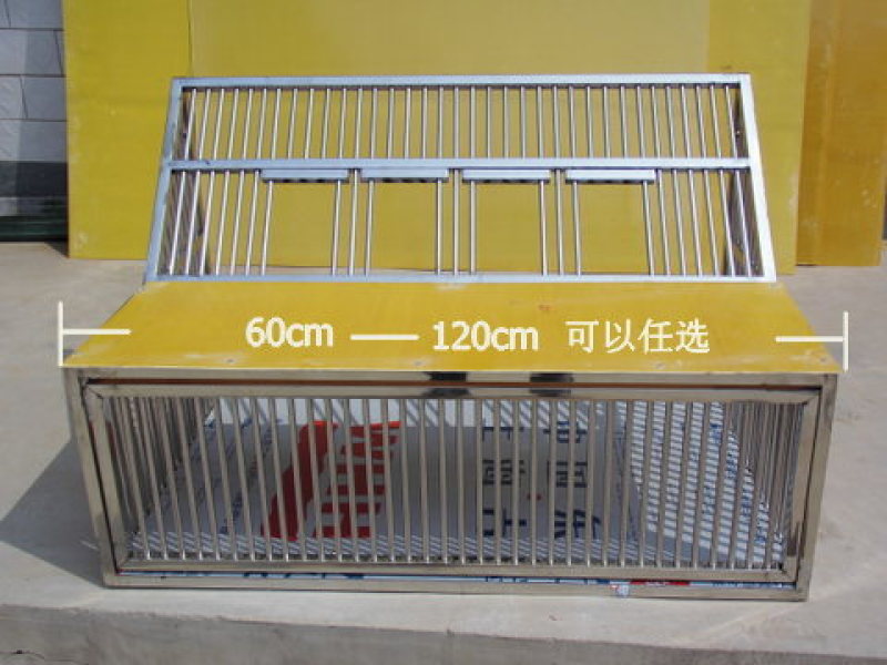 不锈钢鸽子笼跳笼，撞笼只进不出宽一米