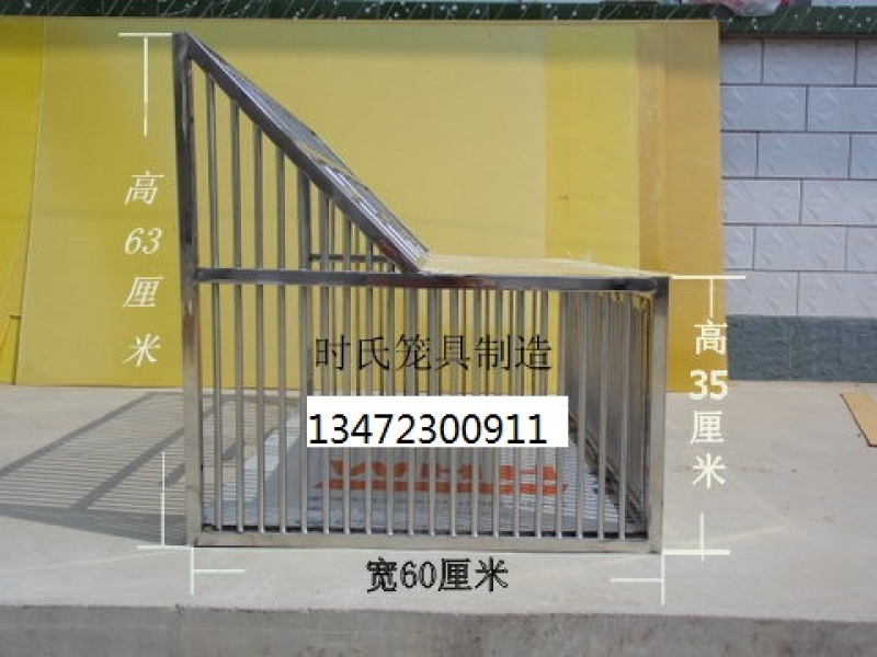 不锈钢鸽子笼跳笼，撞笼只进不出宽一米