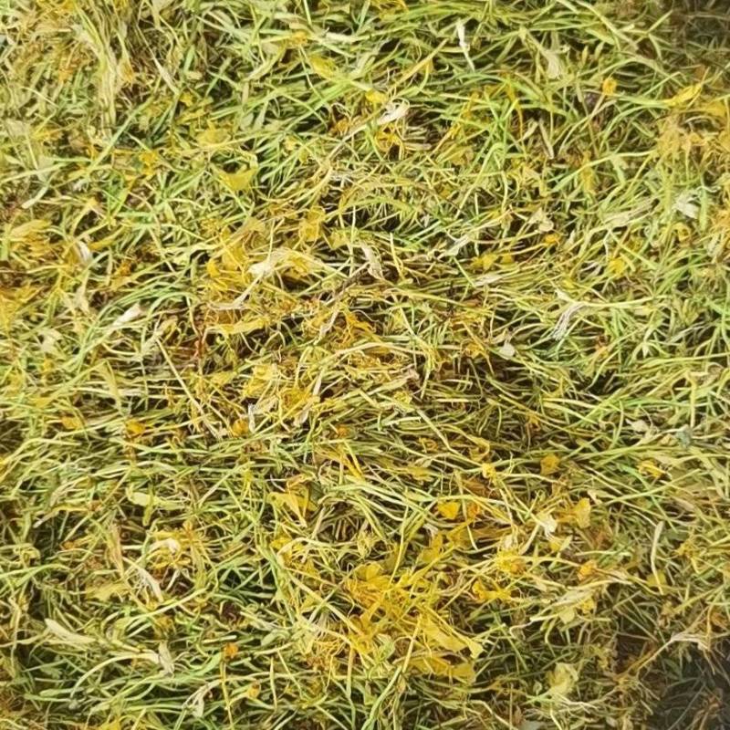 山银花全系