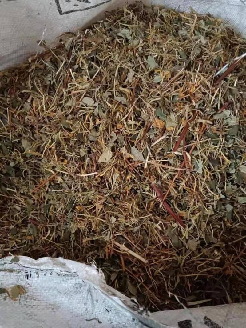 山银花全系
