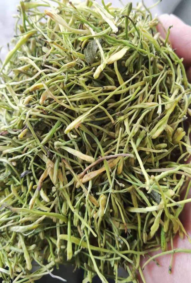 山银花全系