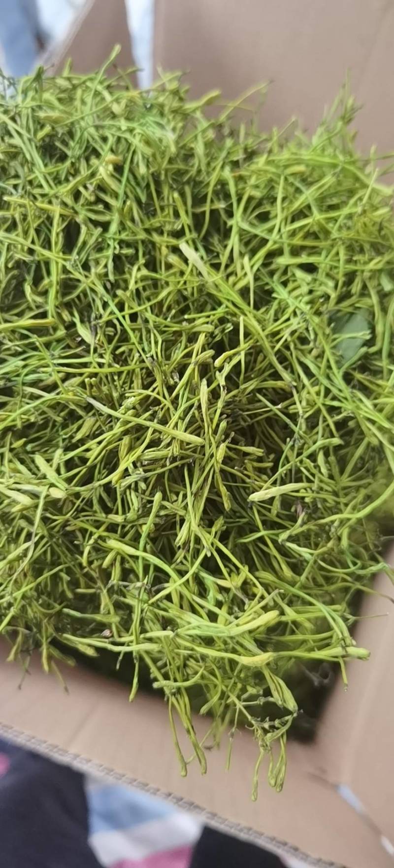 山银花全系
