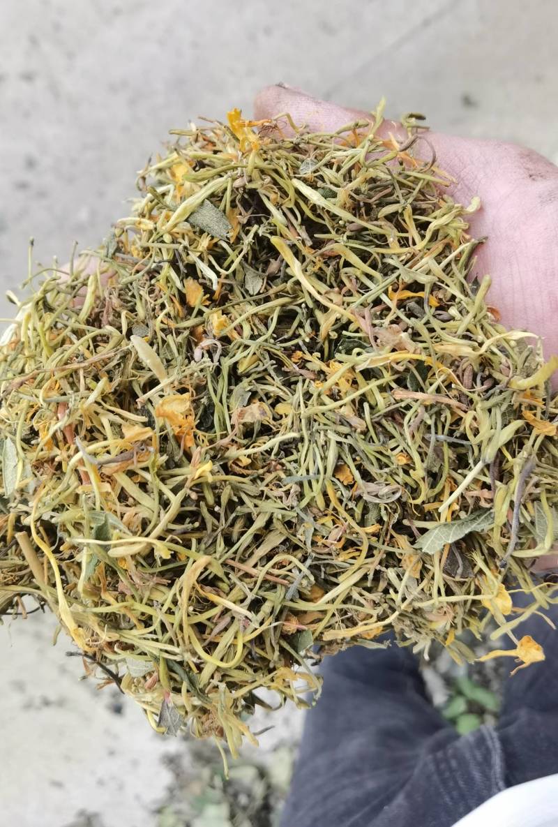 山银花全系